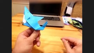 Requin bleu (Oriol Esteve)