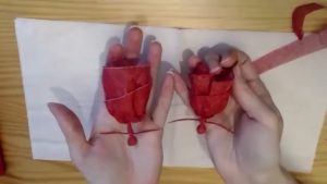Rose et Rose Cantatrice (Alizée Glasser)