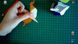 Canard (Yoshizawa)