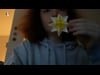 Edelweiss (Corentin Schreck)
