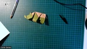 Rhinoceros (Jassu)