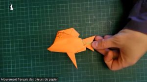 Poisson (Yohihide Momotani)