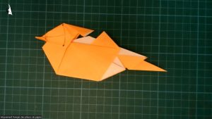 Canard Mandarin (Yoshihide Momotani)