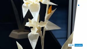 Exposition Origami 2023. France 3 Région (None)