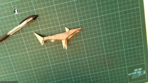 Requin (Fernando Gigaldo Gomez)