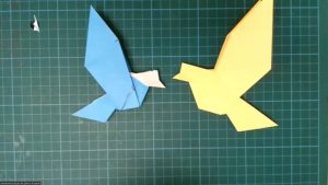 Oiseau (05/2023) (Aurèle Duda)