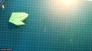 Smiling Frog (Roman Diaz)