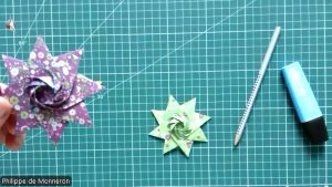 Iris Star (Dasa Severova)