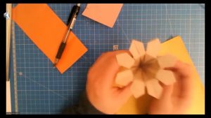 Fleur double (Jacques Justin)