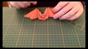 Chauve-souris (Inconnu)
