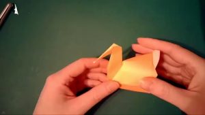 Canard 3D (Nicolas Terry)