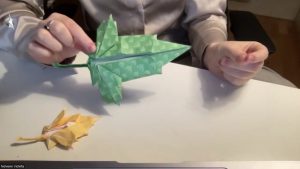 Feuille d'érable (Brian Chan)