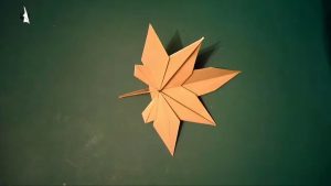 Feuille d'érable (Aurèle Duda)
