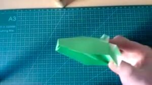 Crocodile (Paul Jackson)
