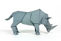 rhinoceros