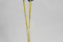 20220524_165931_resized